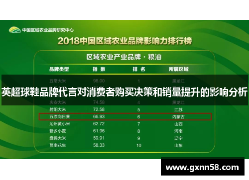 英超球鞋品牌代言对消费者购买决策和销量提升的影响分析