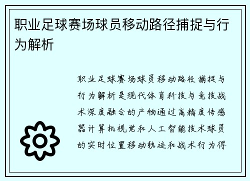 职业足球赛场球员移动路径捕捉与行为解析
