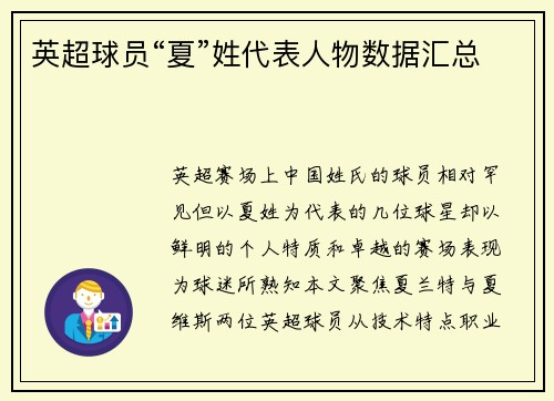 英超球员“夏”姓代表人物数据汇总